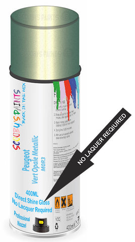 paint for Peugeot Boxer