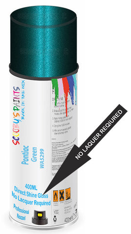paint for Pontiac Lemans