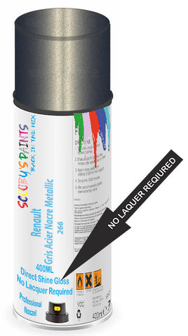 paint for Renault Twingo
