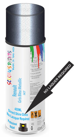 paint for Renault Megane Scenic