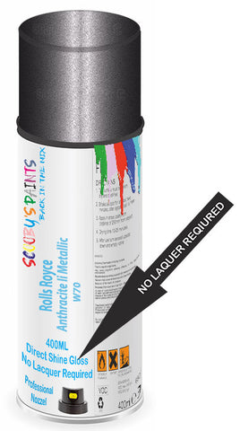 paint for Rolls Royce Coupe