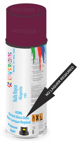 paint for Rolls Royce Phantom