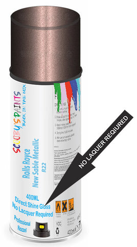 paint for Rolls Royce Coupe