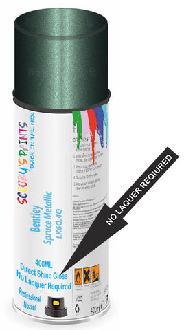 paint for Bentley Arnage