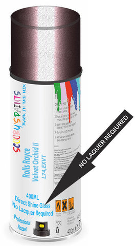 paint for Rolls Royce Wraith