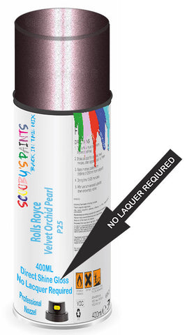 paint for Rolls Royce Phantom