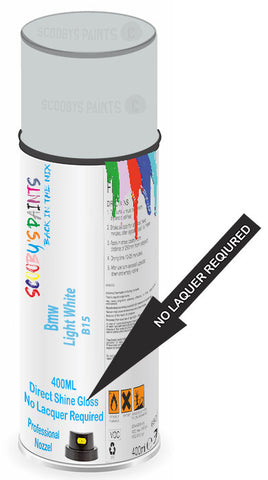 paint for Bmw C-Evolution