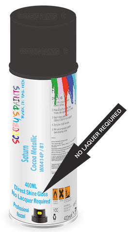 paint for Saturn Relay