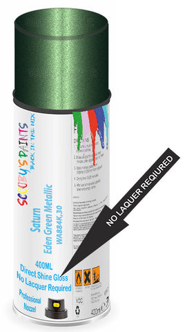 paint for Saturn Sl2