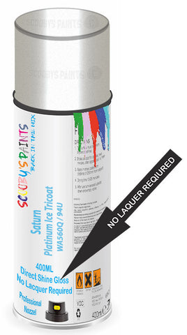 paint for Saturn Outlook