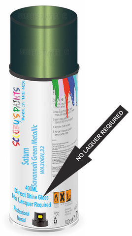 paint for Saturn Ion