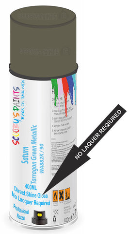 paint for Saturn Lw3