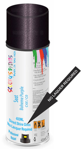 paint for Seat Leon St