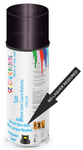 paint for Seat Leon Cupra