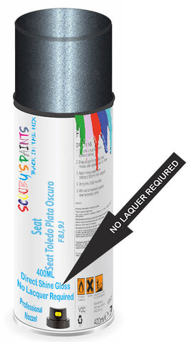 paint for Seat Toledo