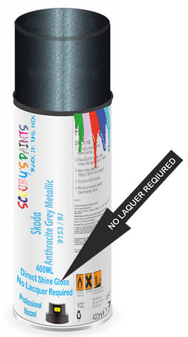 paint for Skoda Fabia Ambiente