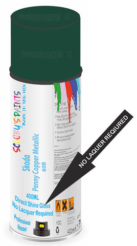 paint for Skoda Enyaq Iv