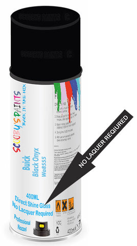paint for Buick Skylark