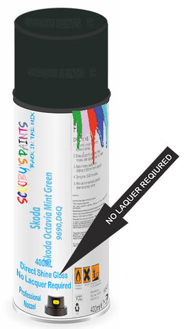 paint for Skoda Octavia