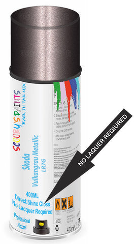 paint for Skoda Karoq