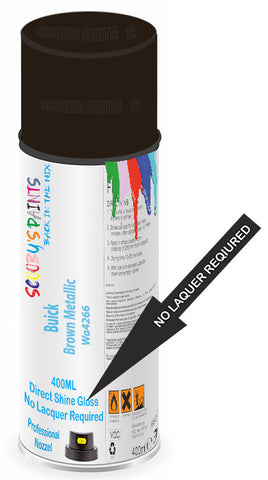 paint for Buick Skylark