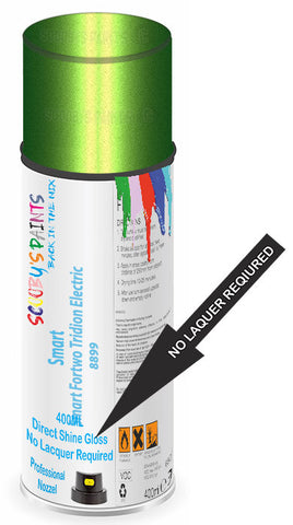 paint for Smart Fortwo