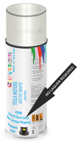 paint for TESLA MOTORS ROADSTER