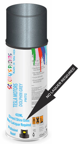paint for TESLA MOTORS MODEL D