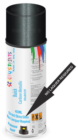 paint for Buick Rainier