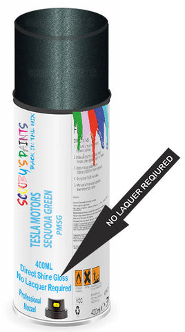 paint for TESLA MOTORS MODEL S