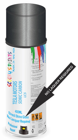 paint for TESLA MOTORS MODEL D