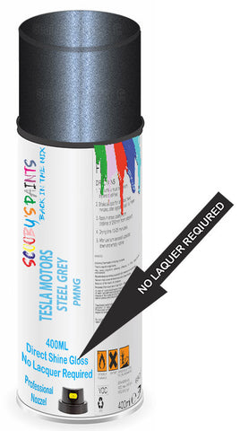 paint for TESLA MOTORS MODEL S