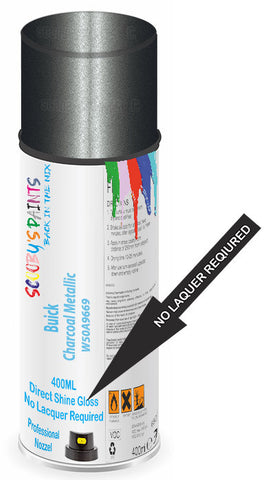 paint for Buick Riviera