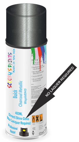 paint for Buick Lesabre