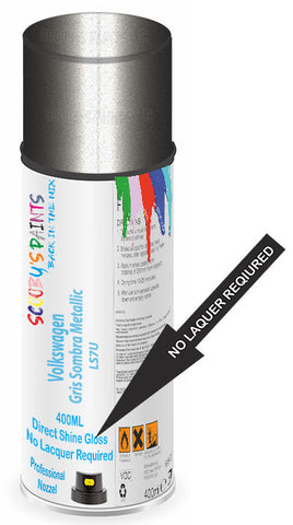 paint for Volkswagen Sharan