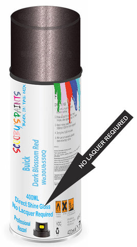 paint for Buick Enclave