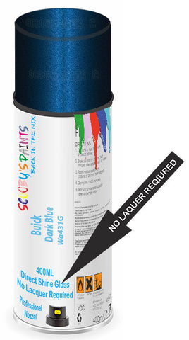 paint for Buick Park Avenue