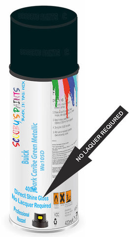 paint for Buick Park Avenue