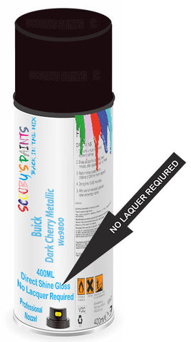 paint for Buick Century