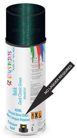paint for Buick Century