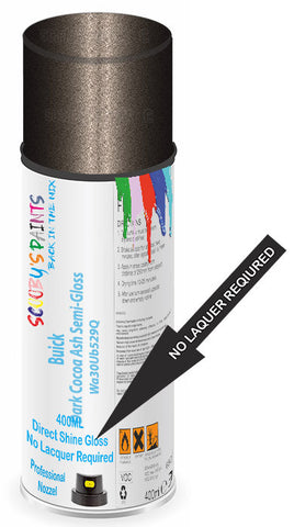 paint for Buick Enclave