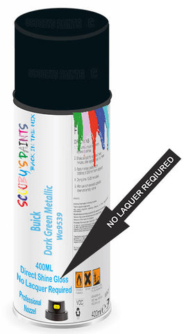 paint for Buick Rainier