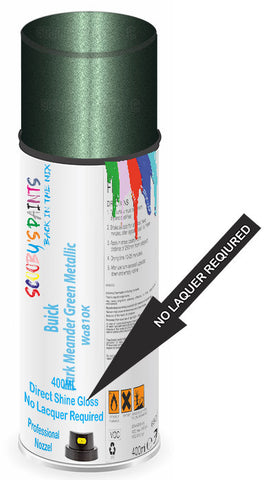 paint for Buick Park Avenue