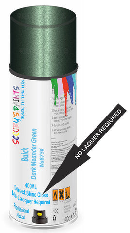 paint for Buick Park Avenue
