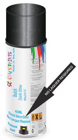 paint for Buick Century