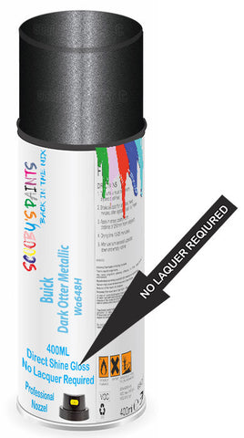 paint for Buick Rendezvous