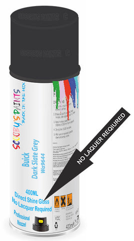 paint for Buick Century