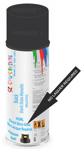 paint for Buick Allure