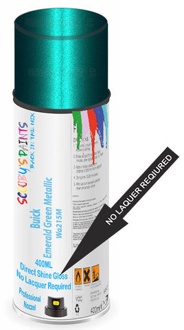 paint for Buick Rainier