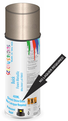 paint for Buick Riviera